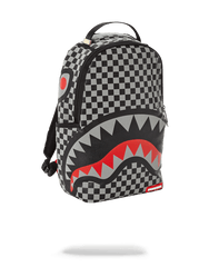 REFLECTIVE SHARKS IN PARIS