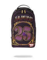 NBA LEBRON MONEY BACKPACK