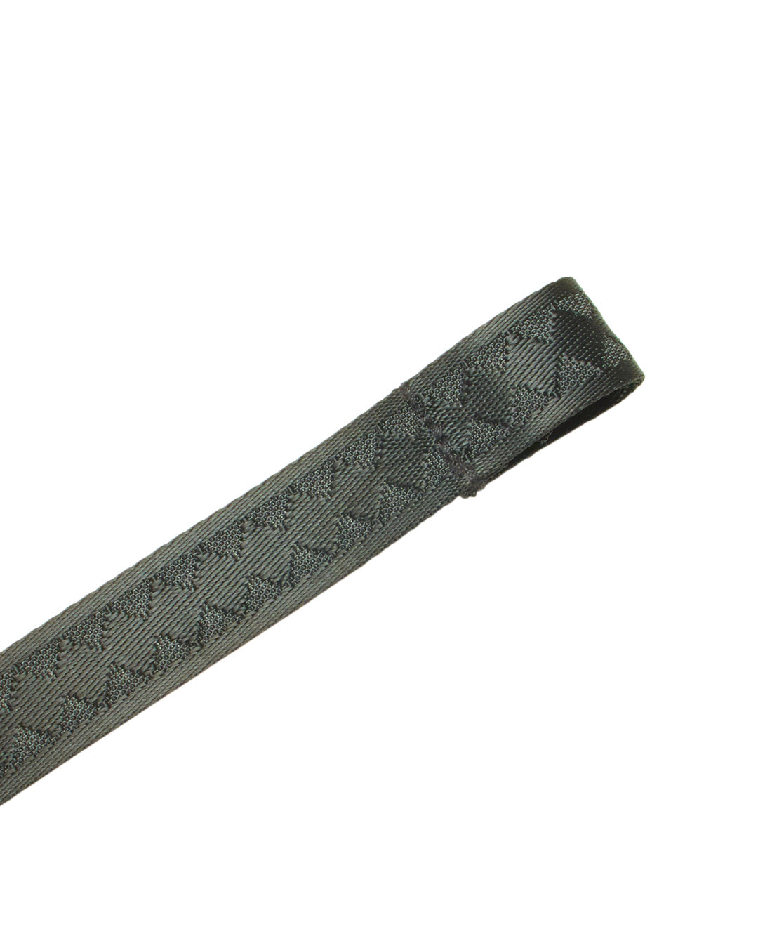 SHARK BITE <3 SHARKS IN PARIS