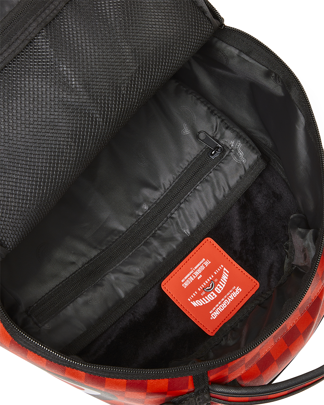 HEY ARNOLD ON THE RUN SHARK (DLXV)