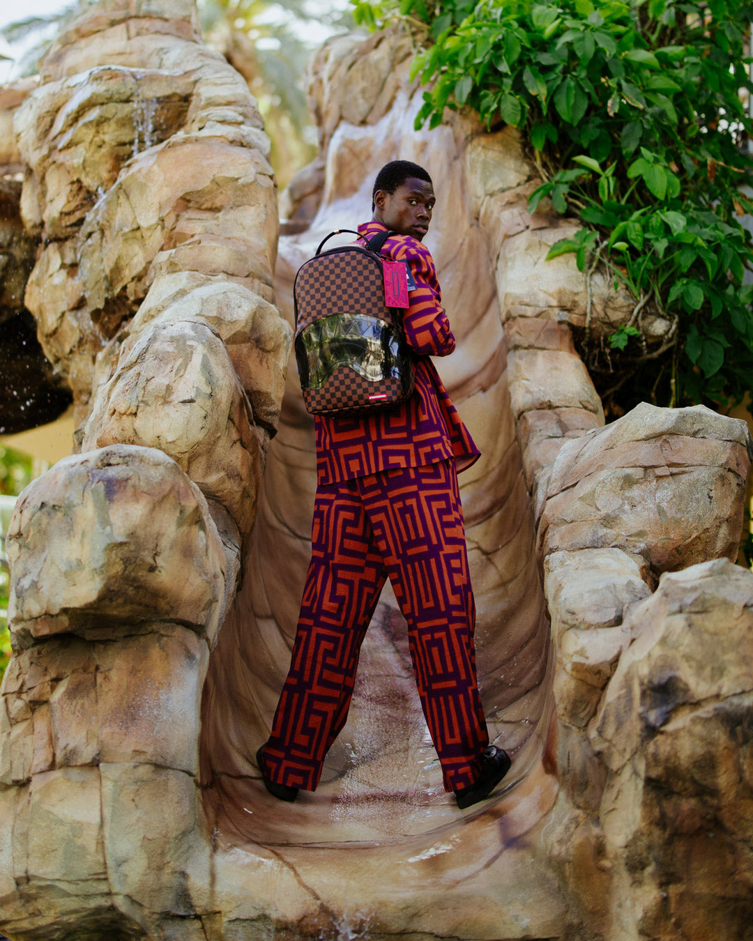 SHARKS IN PARIS CLEAR FOR TAKEOFF DLXSC BACKPACK