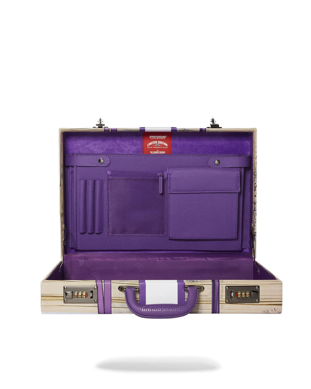 BILLIONS IN THE BANK BRIEFCASE