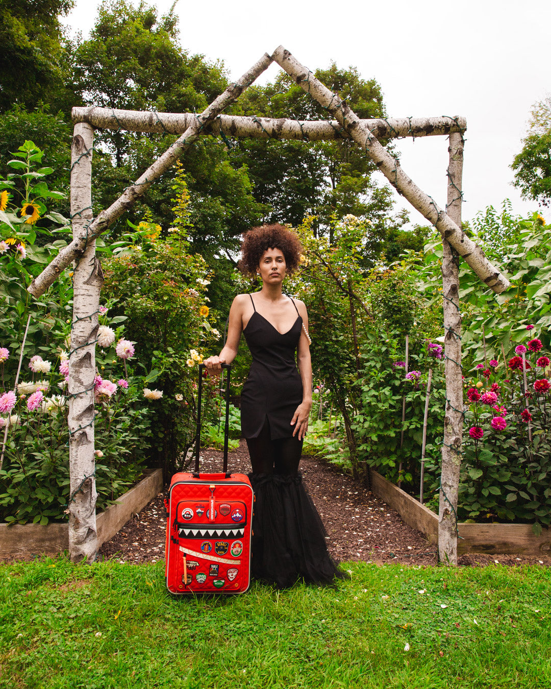 THE GLOBAL EXPEDITION JETSETTER CARRY-ON LUGGAGE