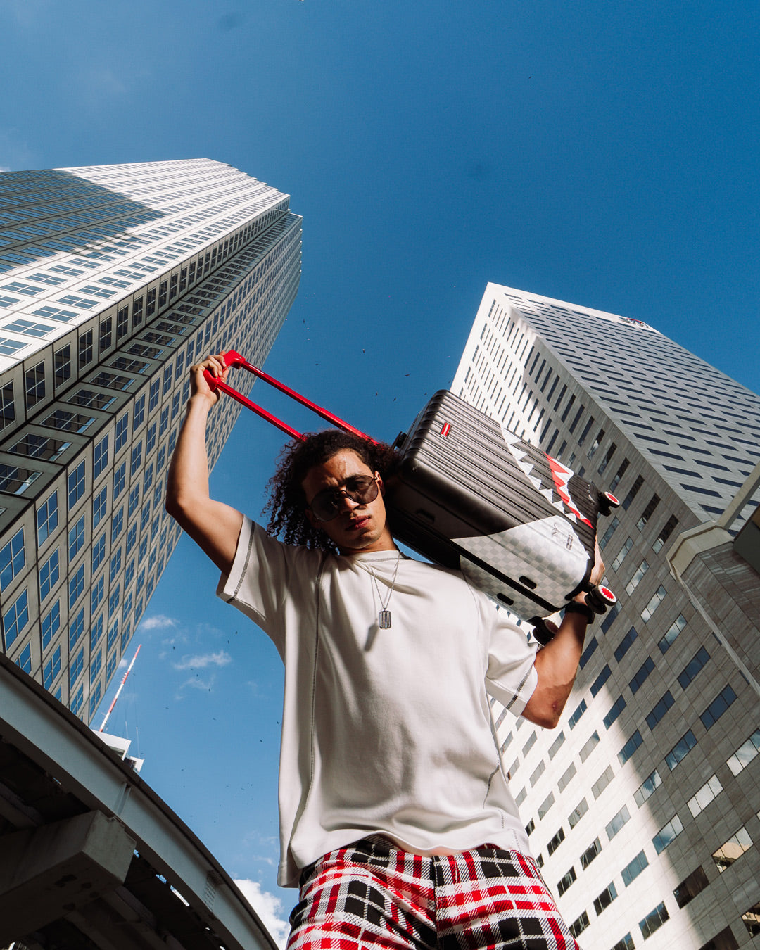 TRIPLE DECKER HEIR TO THE THRONE HARDSHELL CARRY-ON LUGGAGE