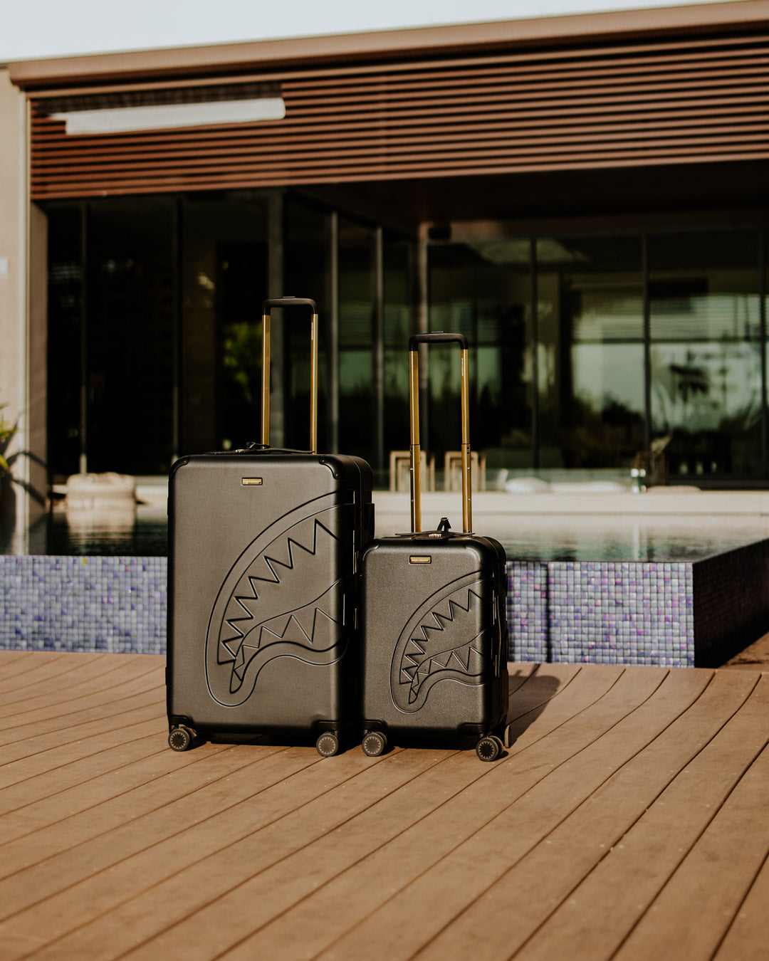 REALITY CHECK SHARKITECTURE FULL-SIZE JETBLACK LUGGAGE (GOLD HARDWARE)