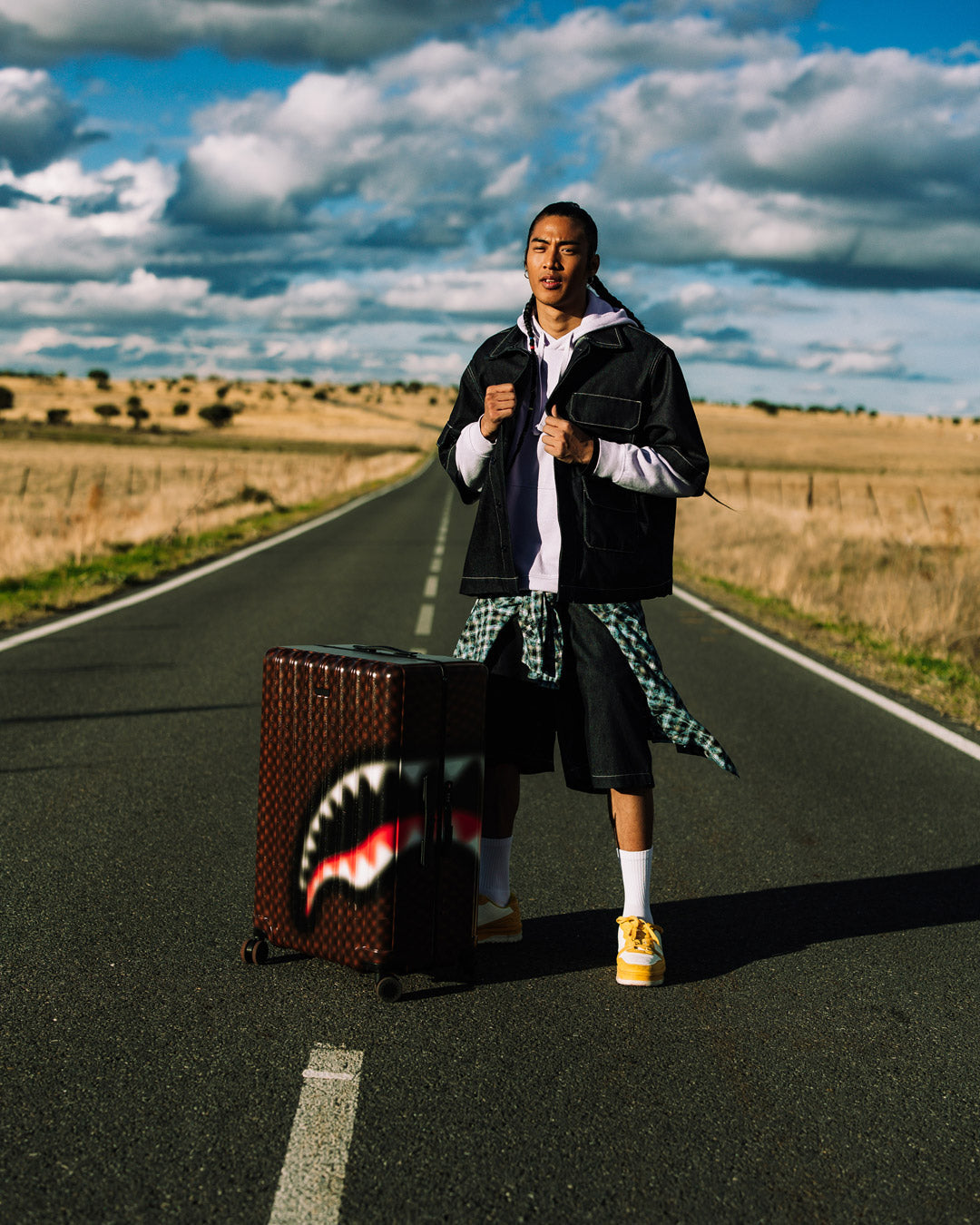 SHARKS IN PARIS BLUR EFFECT FULL SIZE LUGGAGE