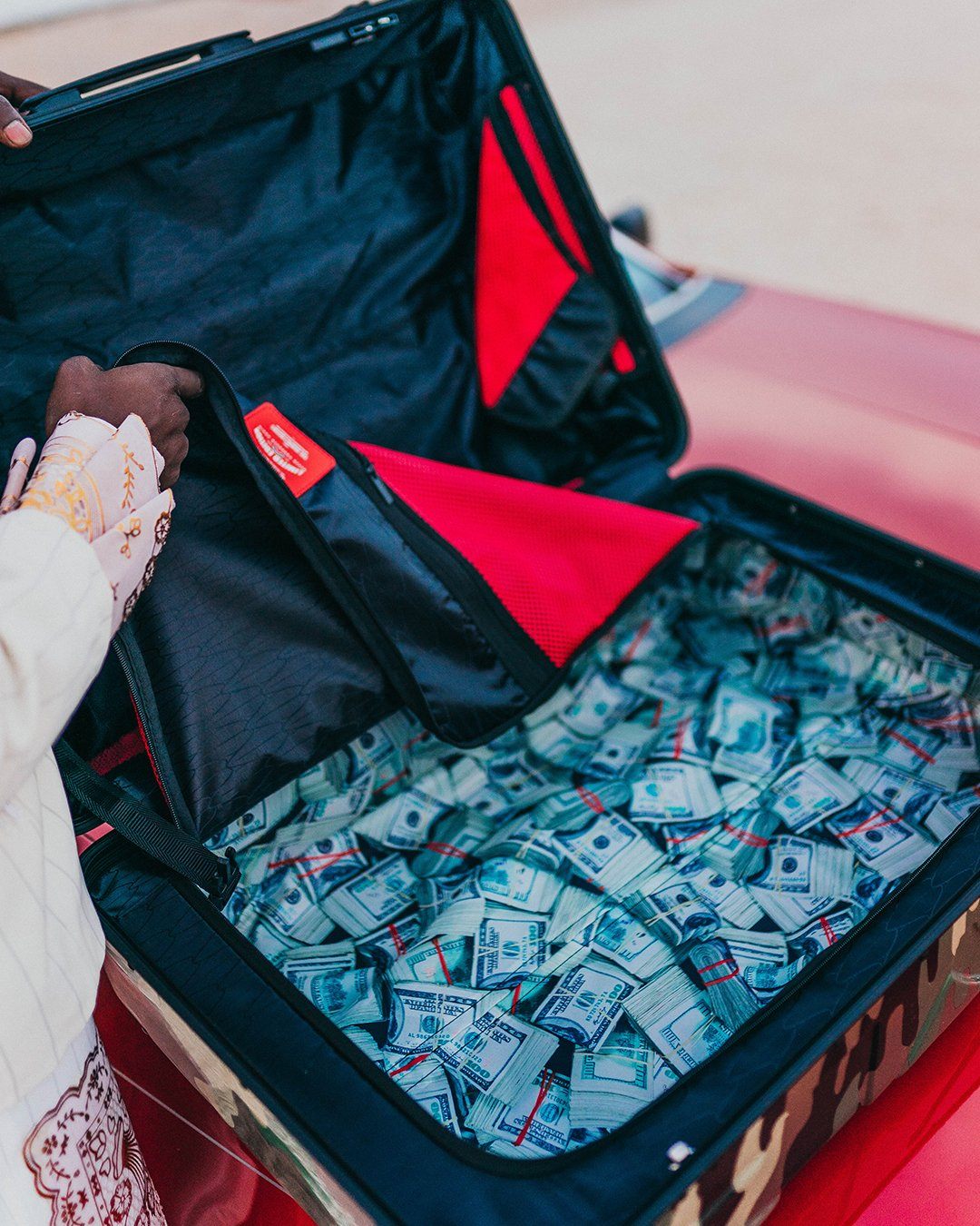 JUNGLE PARIS 2 PC LUGGAGE SET (CARRY-ON & FULL-SIZE)