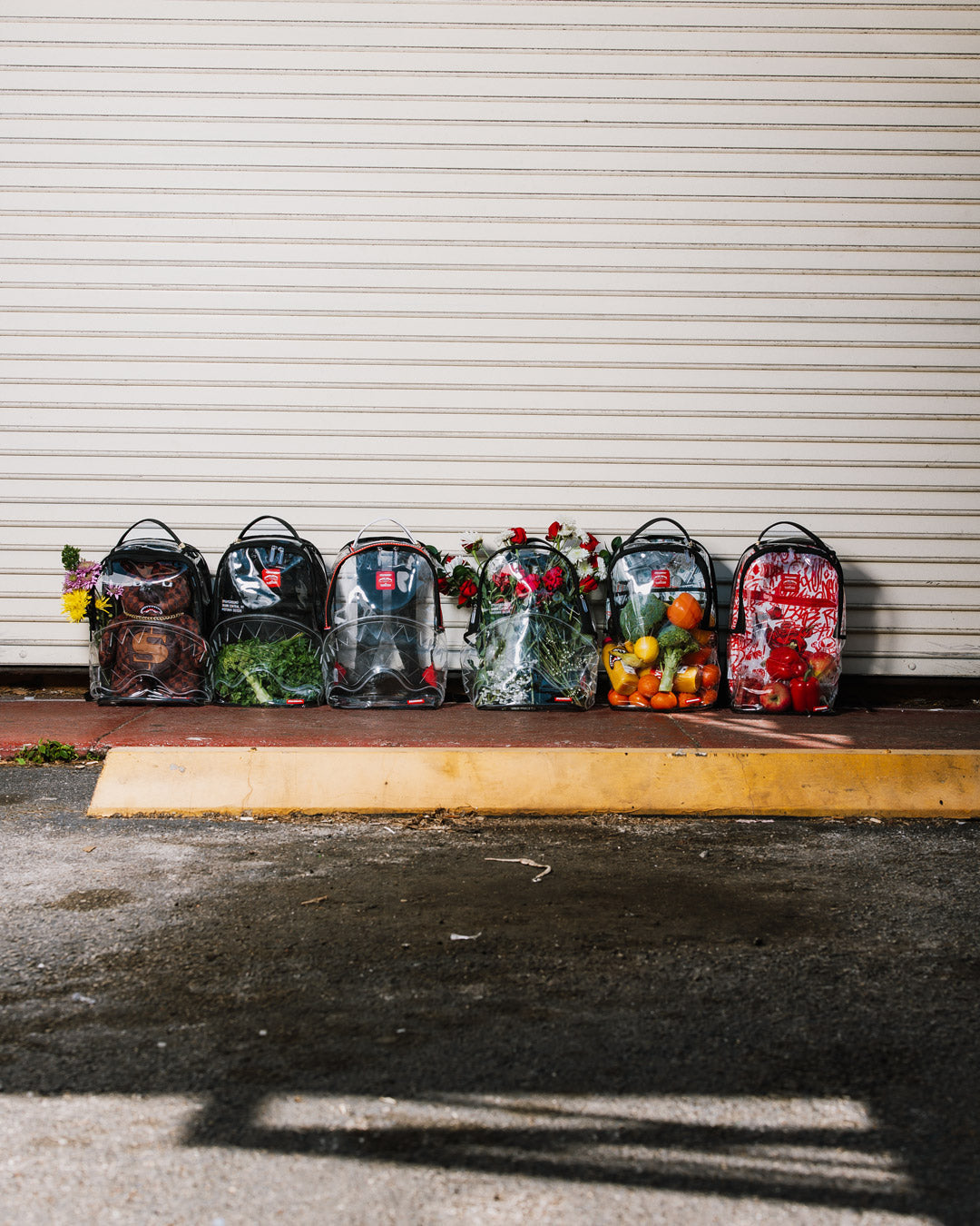 CLEAR BACKPACK - MONEY CHOMP