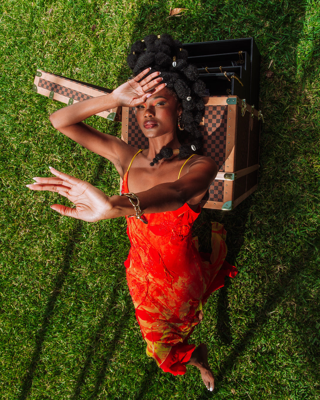 HENNYVILLE SHARKS IN PARIS TRUNK