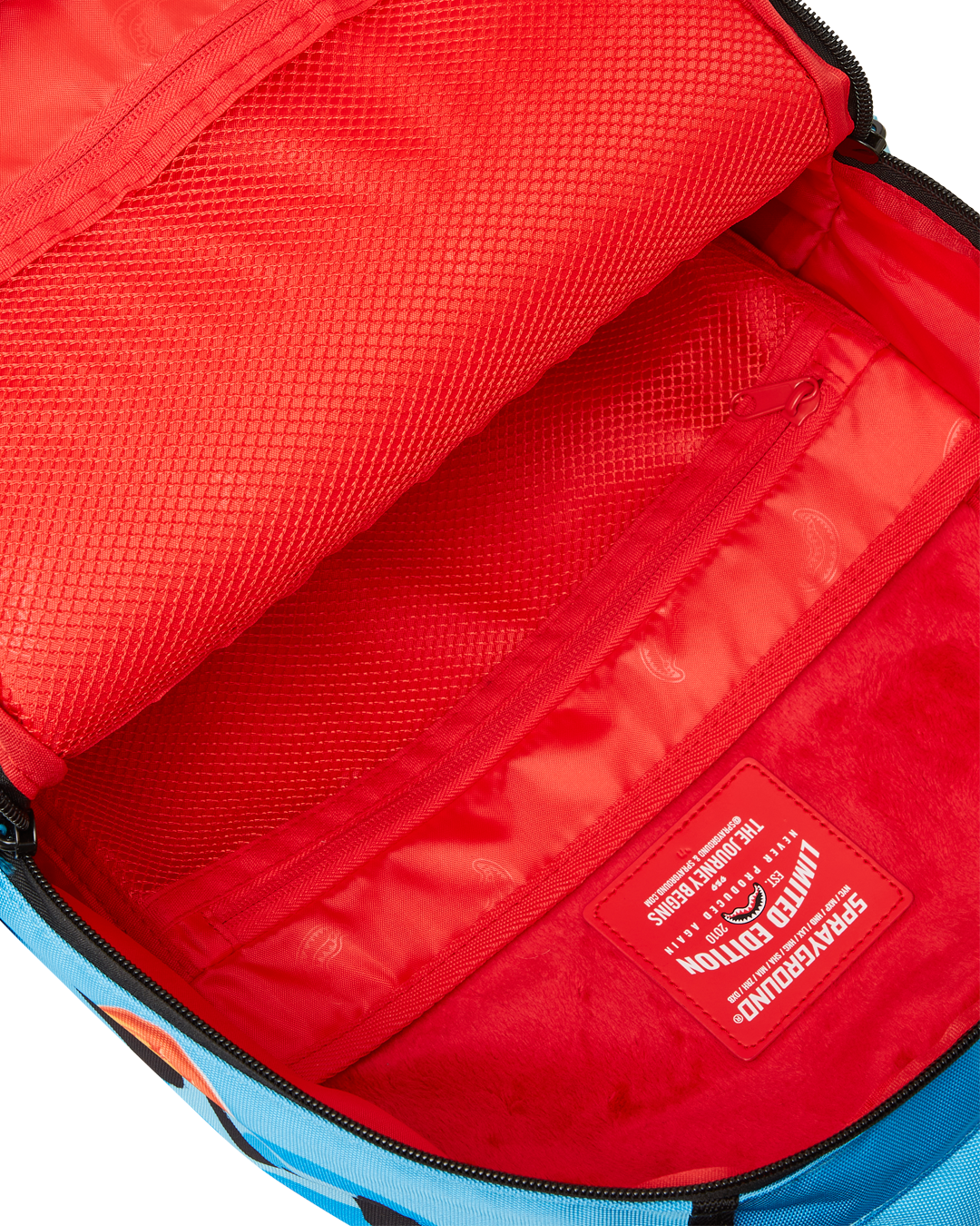 DRAGON BALL Z SUPER SAIYAN BLUE GOKU AND VEGETA